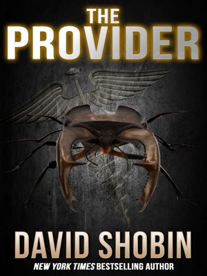 The Provider - ebook